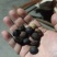 纯野生山茶籽油