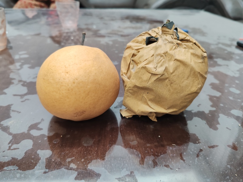 晚秋红梨