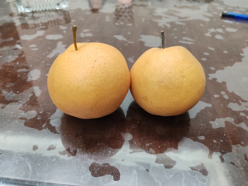 晚秋红梨