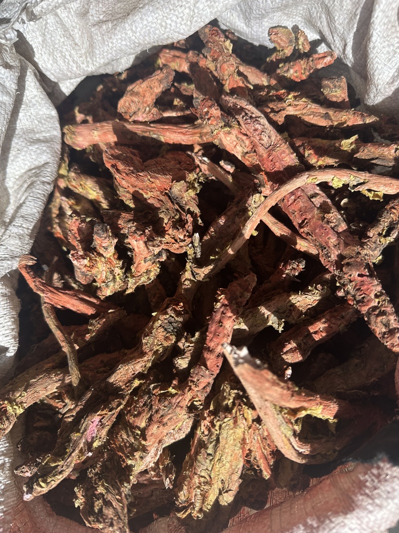 大花红景天野生的保质保量提供合法手续！