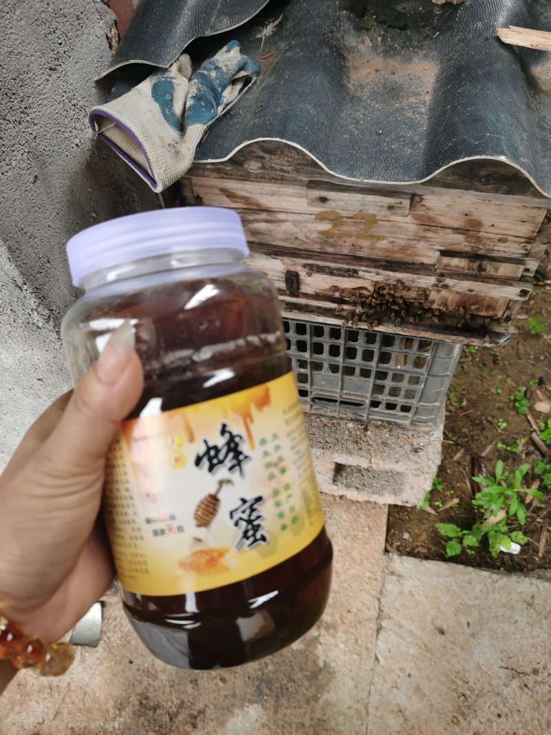 农家土蜂蜜