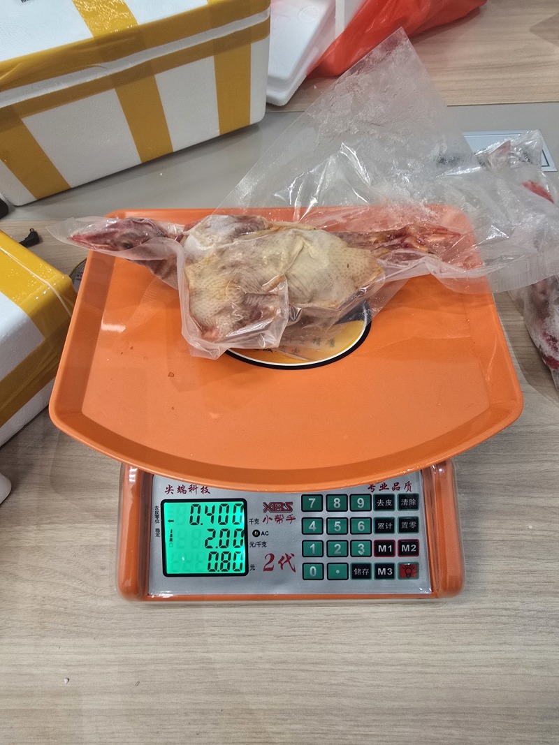 大巴山土鸽子农户散养鸽子可一件代发