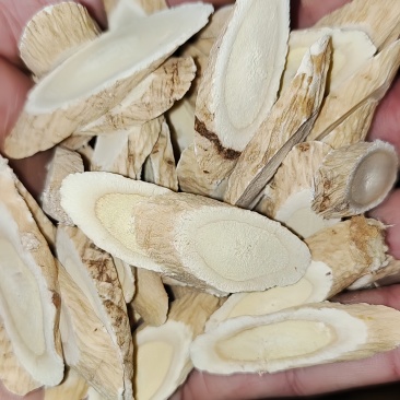 甘肃岷山黄芪家种黄芪片黄芪饮片