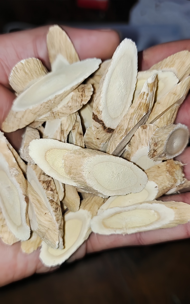 甘肃岷山黄芪家种黄芪片黄芪饮片