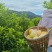 黑山黄金果