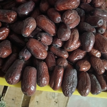 新疆骏枣