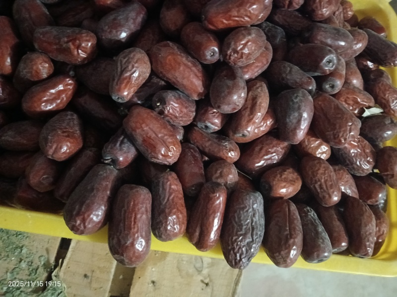 新疆骏枣