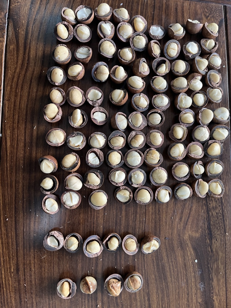 专业夏威夷果，自产自销，库存充足价格稳定，接代发批发拿货。