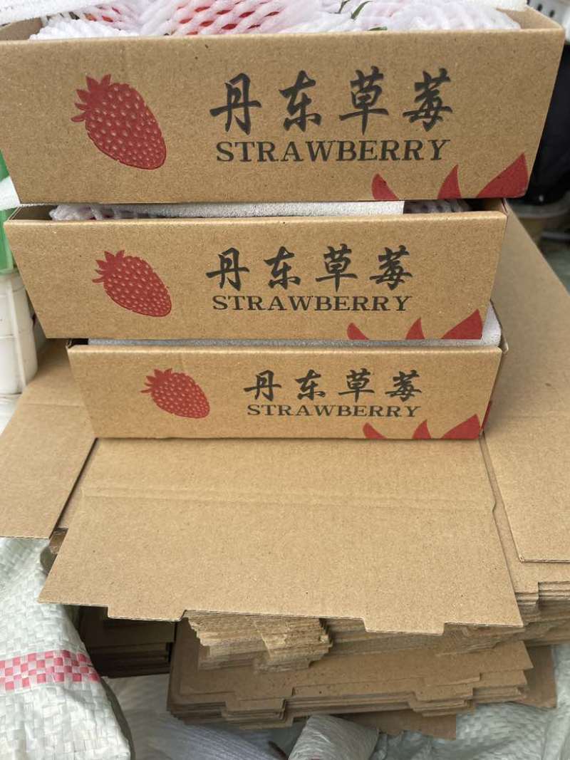 辽宁丹东东港九九草莓