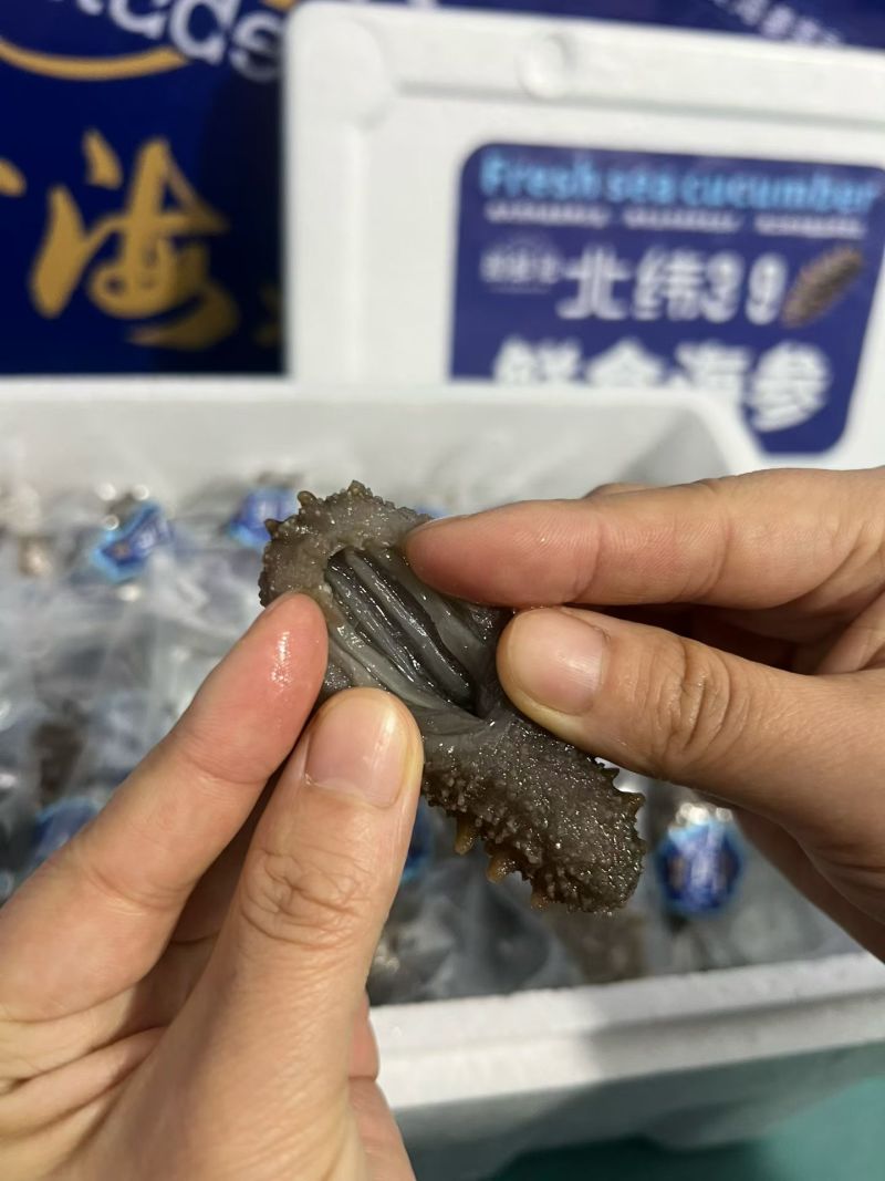威海本地海参，3..99一只独立包装的海参