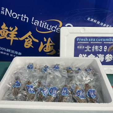 威海本地海参，3..99一只独立包装的海参
