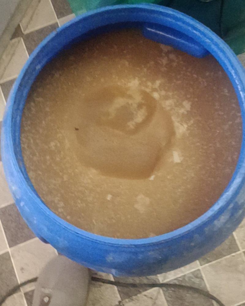 自家蜂蜜