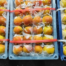 红皮南果梨零售四块五一斤买货+ⅴ***********