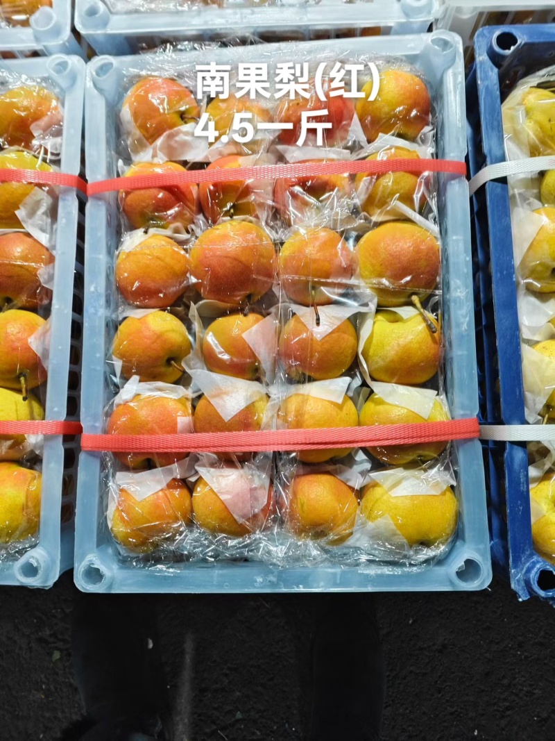 红皮南果梨零售四块五一斤买货+ⅴ***********
