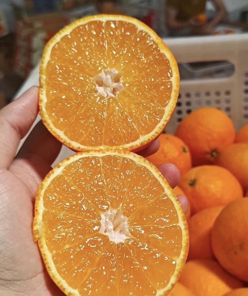 爱媛38号果冻橙，鲜嫩多汁，新鲜采摘
