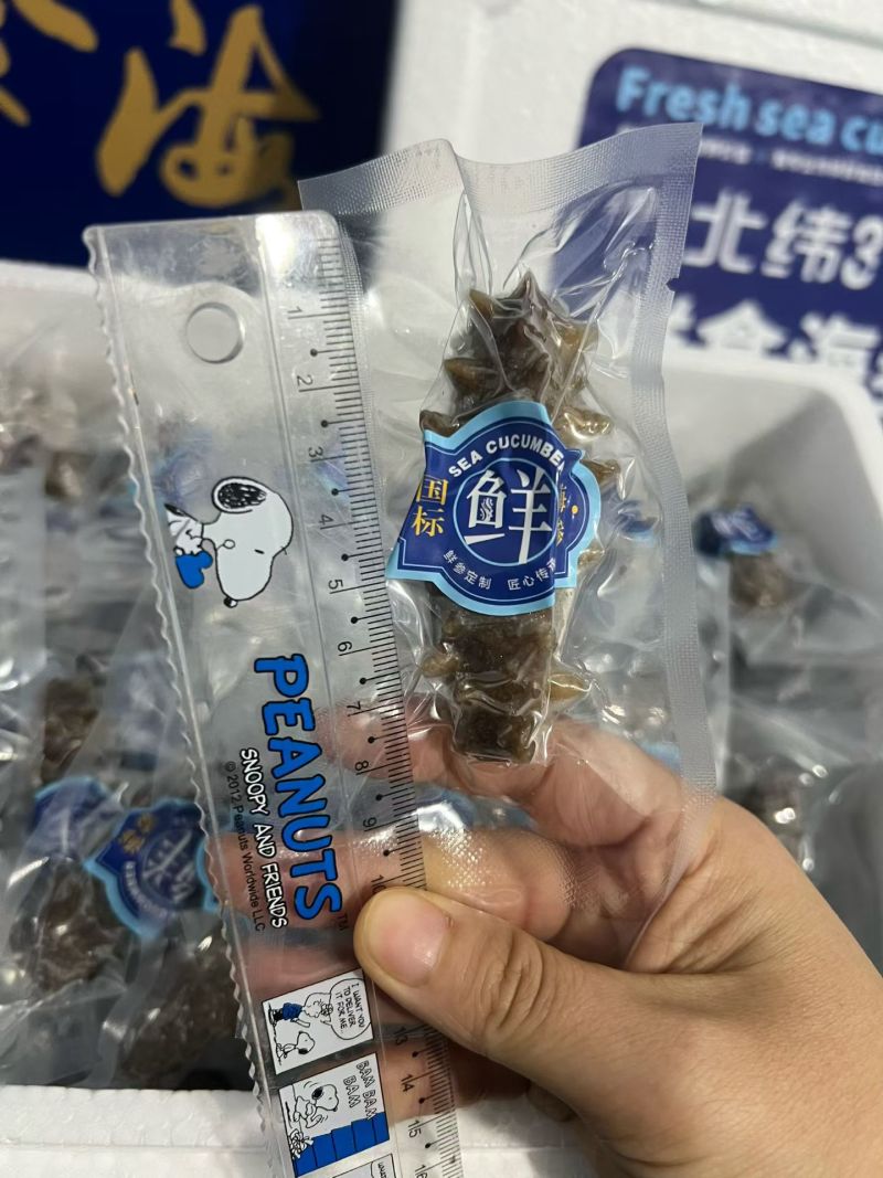 威海海参，一只只要3.99独立包装