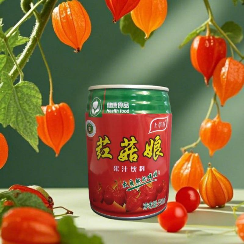药食同源红菇娘果汁，240ml10罐礼盒装，送礼送健康**