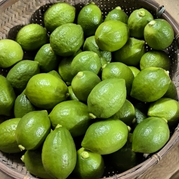 广东香水柠檬