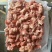饲料鸡头，全新冷冻批发证件齐全价格便宜