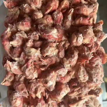 饲料鸡头，全新冷冻批发证件齐全价格便宜