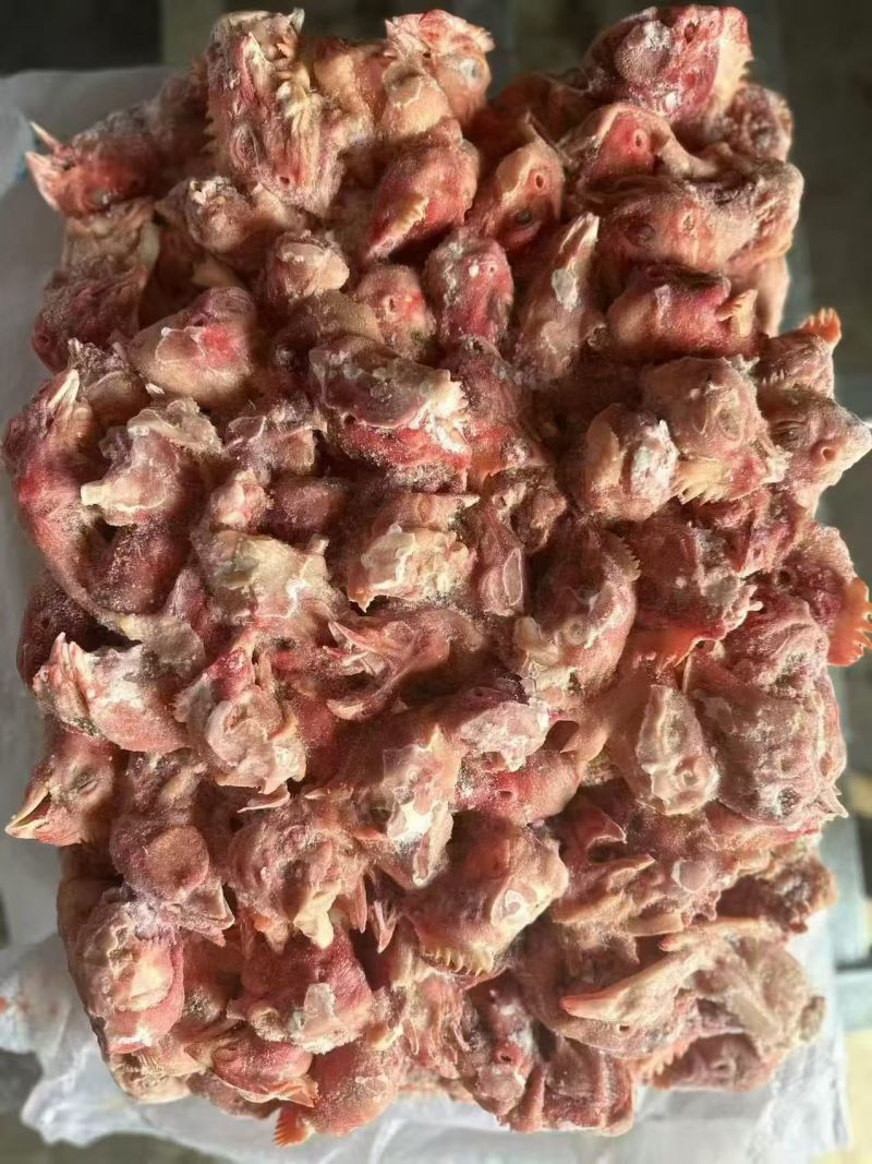 饲料鸡头，全新冷冻批发证件齐全价格便宜