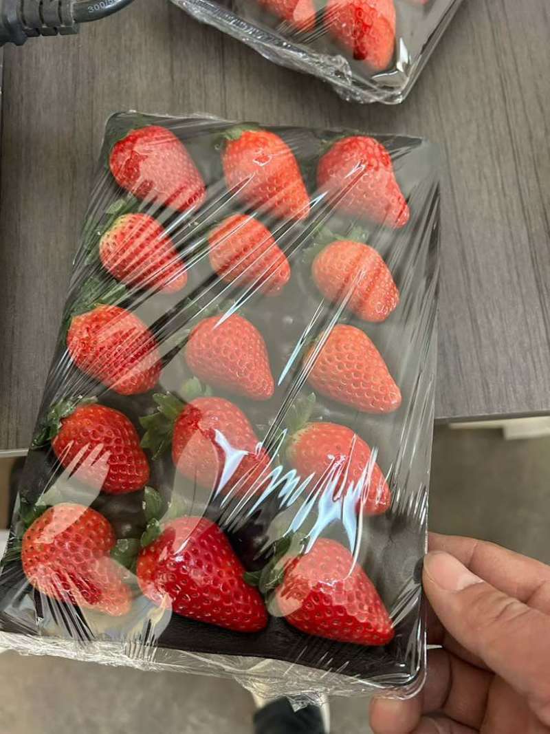 贵妃