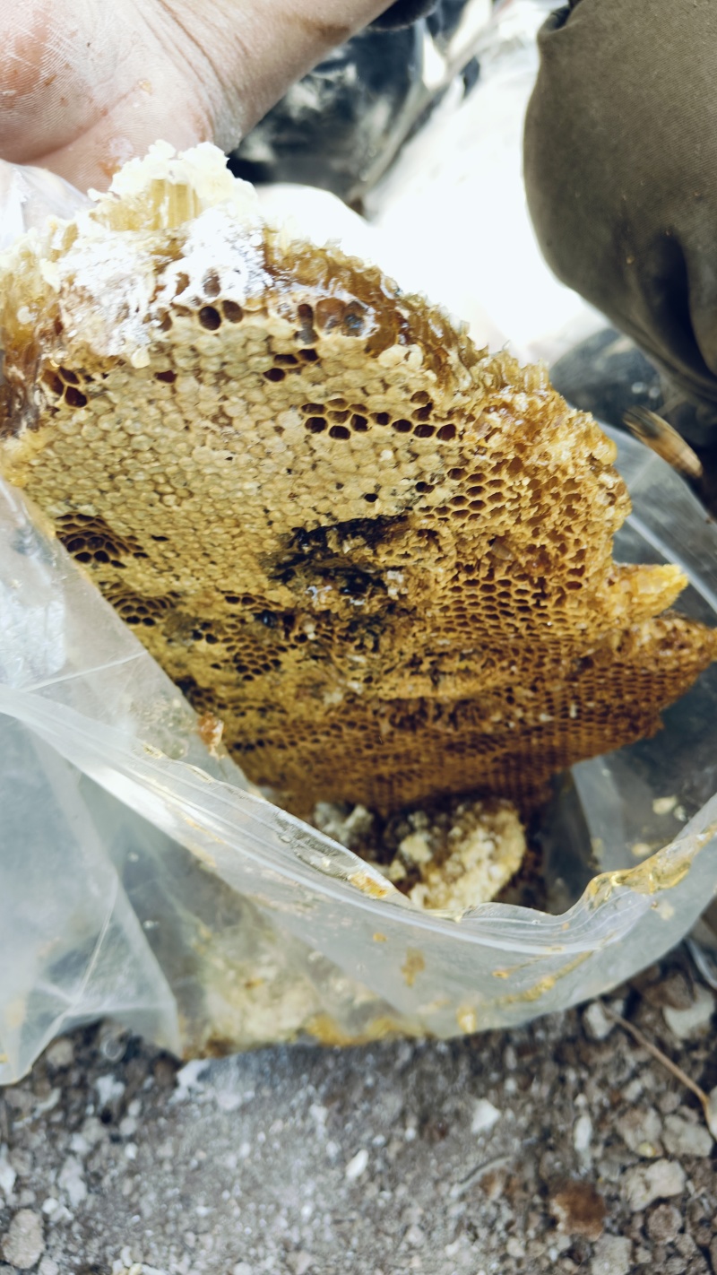 蜂蜜，不作假野生百花蜜