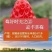 长丰草莓，价格面谈