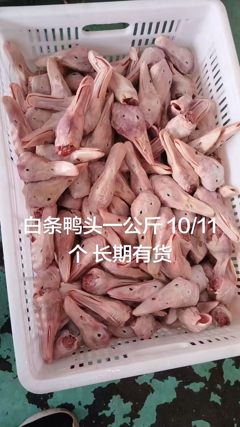 白条鸭头一公斤10/11个长期有货