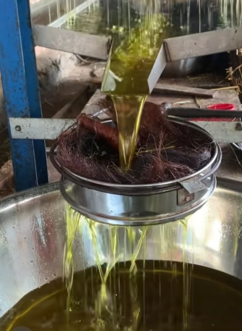 老树山茶油
