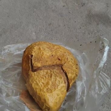 鸡宝