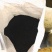 洋葱籽
