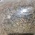 茶叶尾料，红茶，乌龙，茉莉，风味茶低价处理
