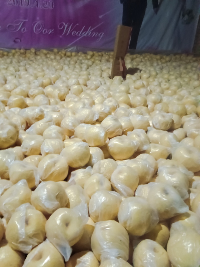 乾县酥梨，百年老树梨现摘现发皮薄多汁，代发全国