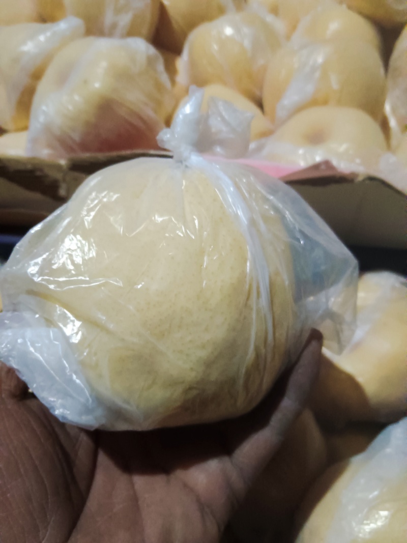 乾县酥梨，百年老树梨现摘现发皮薄多汁，代发全国