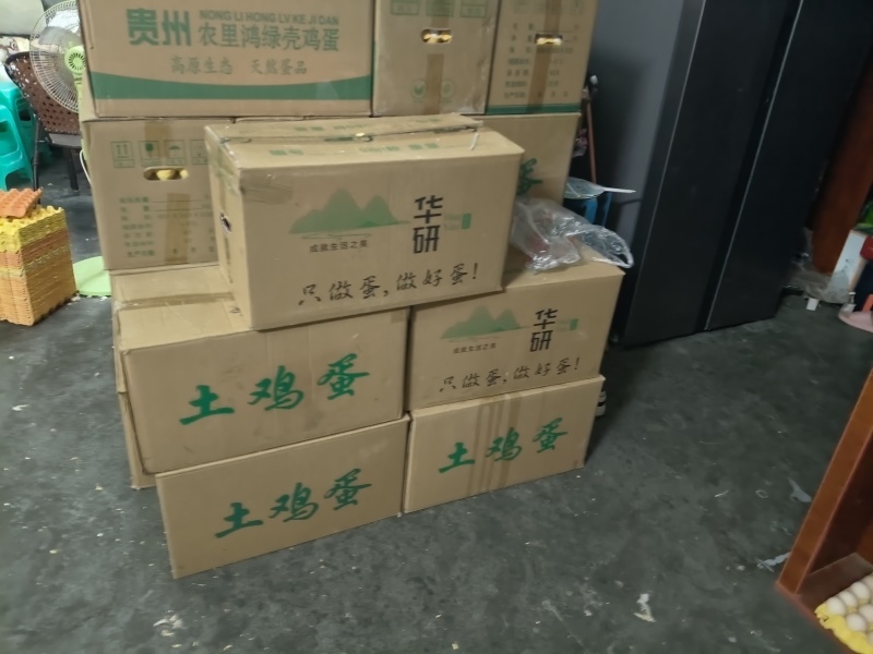 鸡蛋
