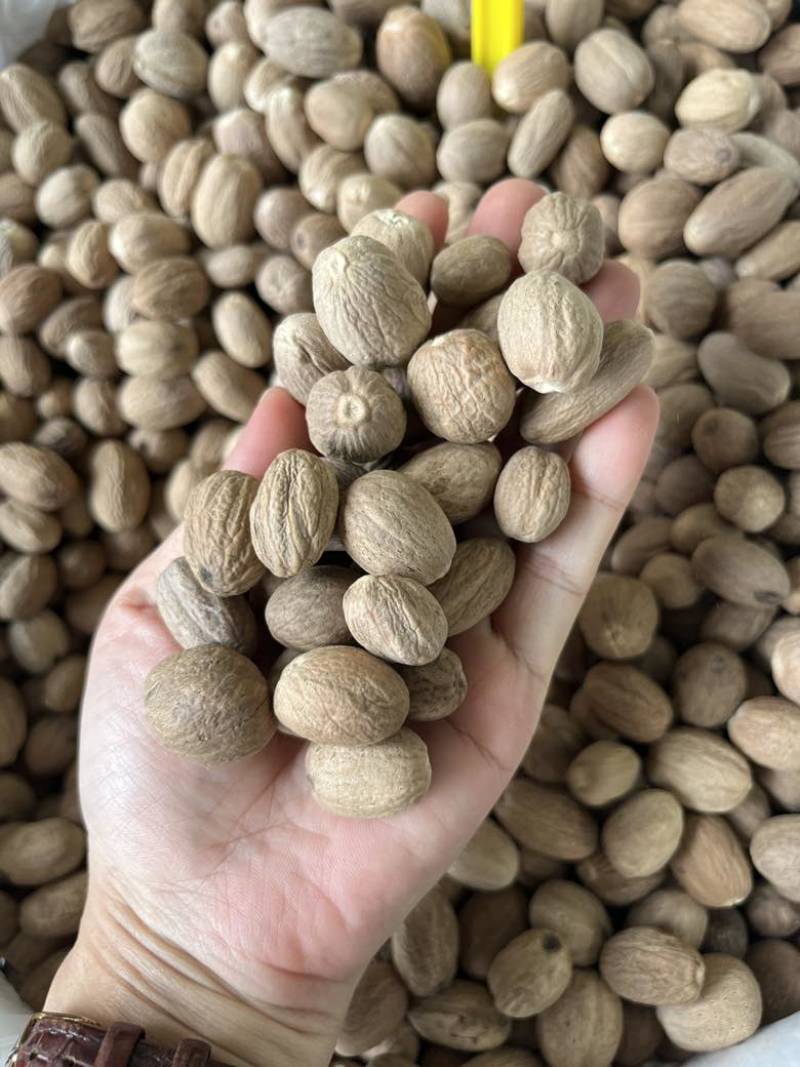 进口肉豆蔻玉果沉水玉果统货玉果120斤一件起长期批发量大价优