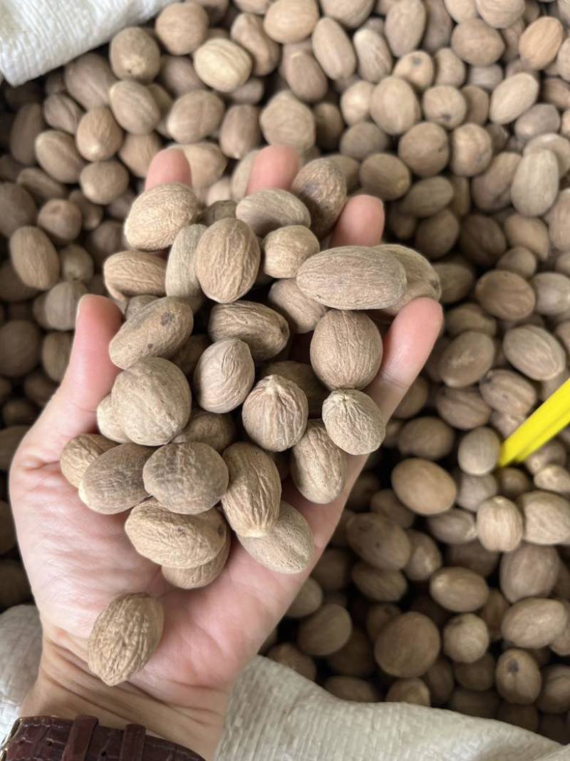 进口肉豆蔻玉果沉水玉果统货玉果120斤一件起长期批发量大价优