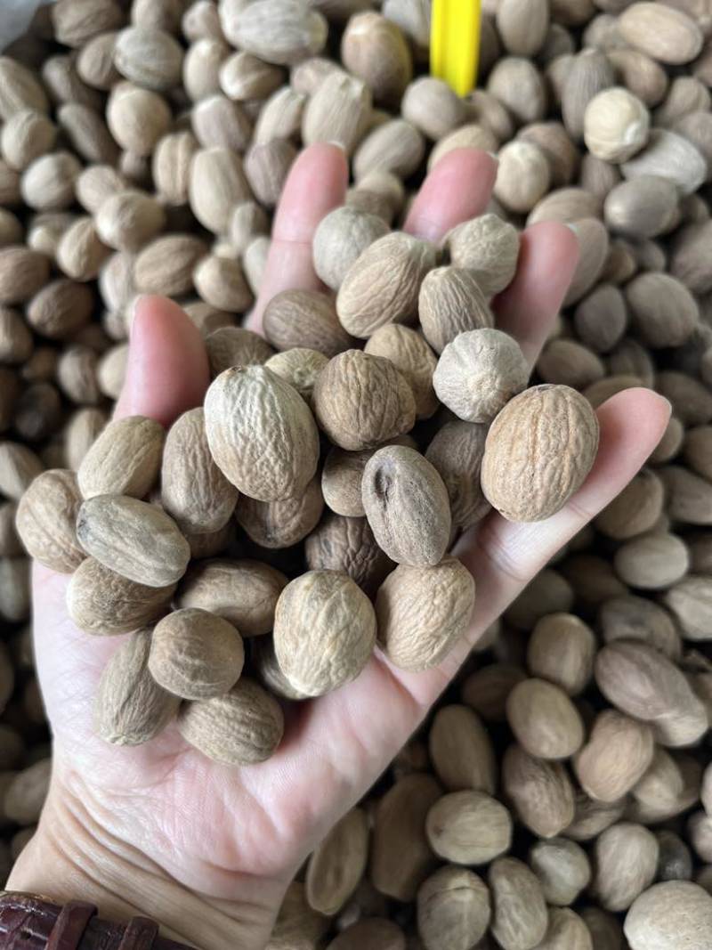 进口肉豆蔻玉果沉水玉果统货玉果120斤一件起长期批发量大价优