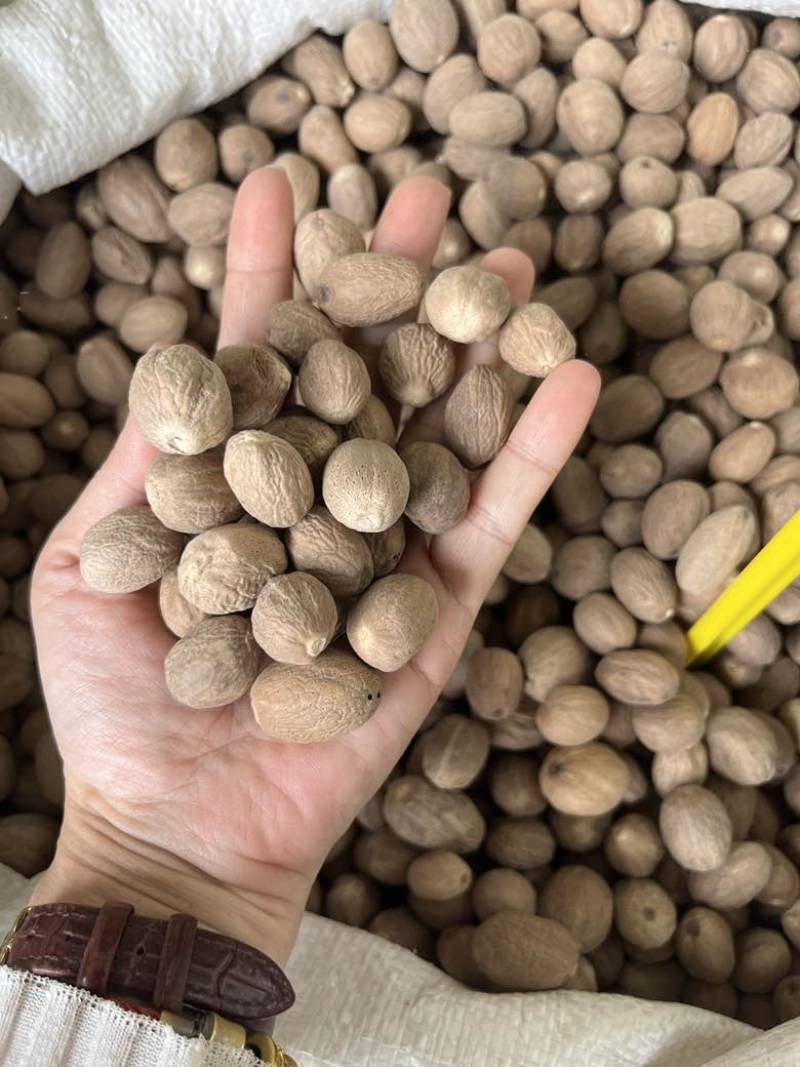 进口肉豆蔻玉果沉水玉果统货玉果120斤一件起长期批发量大价优