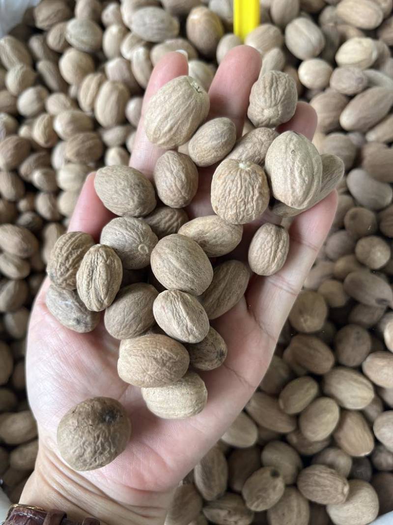 进口肉豆蔻玉果沉水玉果统货玉果120斤一件起长期批发量大价优