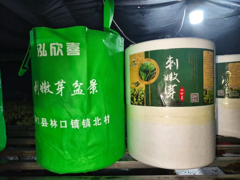 反季山野菜刺嫩芽和猴腿儿