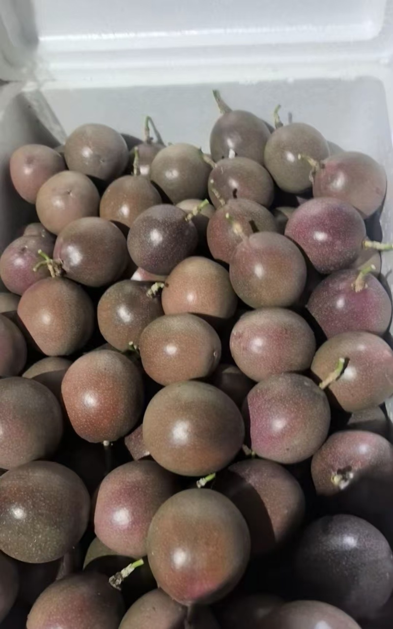 蜜桃百香果批发一手货源