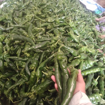螺丝椒，精品螺丝椒，通货螺丝椒