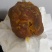 鸡宝
