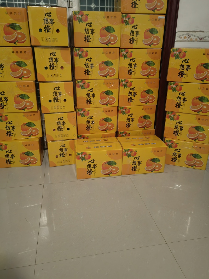 纽荷尔脐橙***********包邮一箱..9.8斤