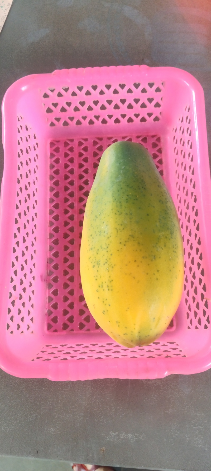 水果木瓜