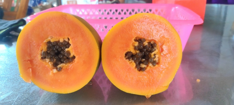 水果木瓜