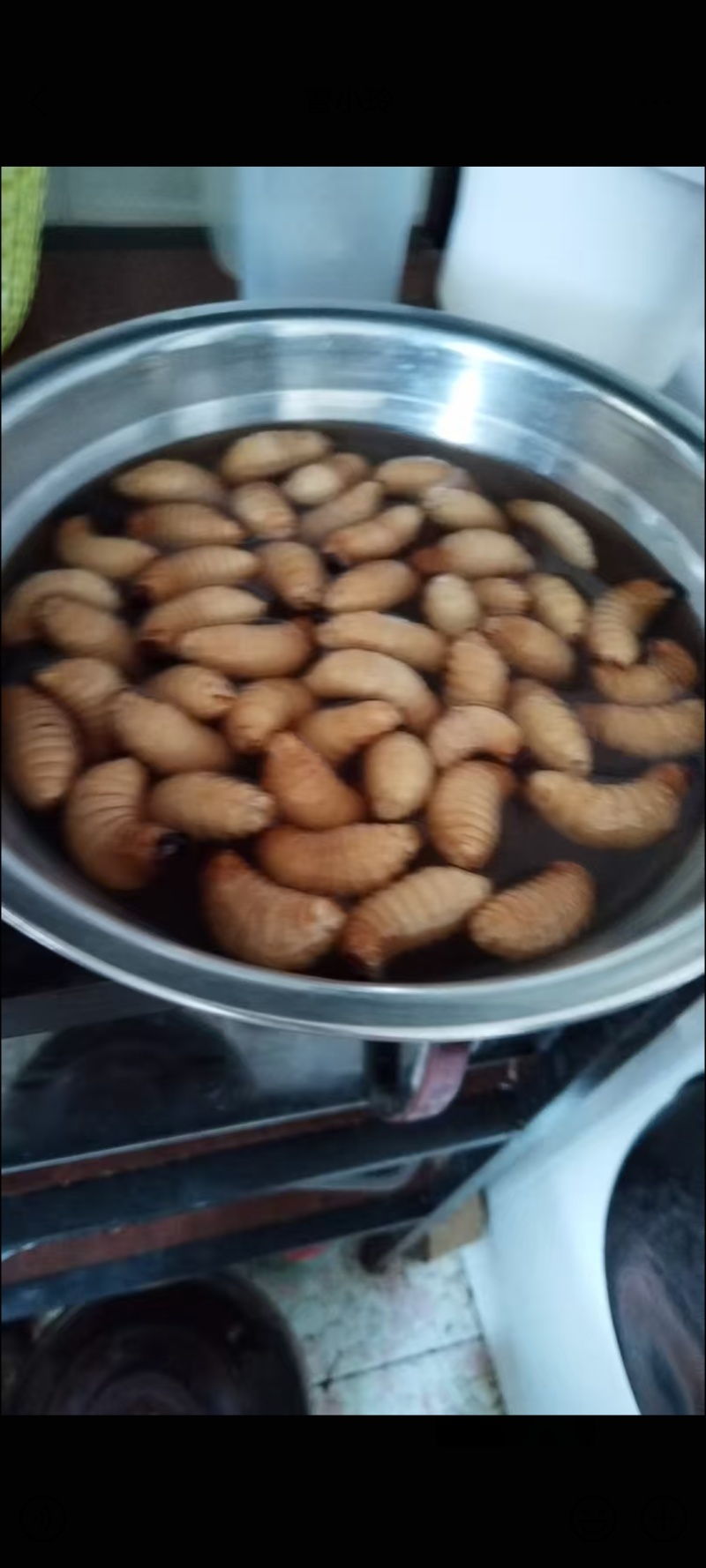 冰冻鲜活竹虫笋蛹已经清肠了保证口感