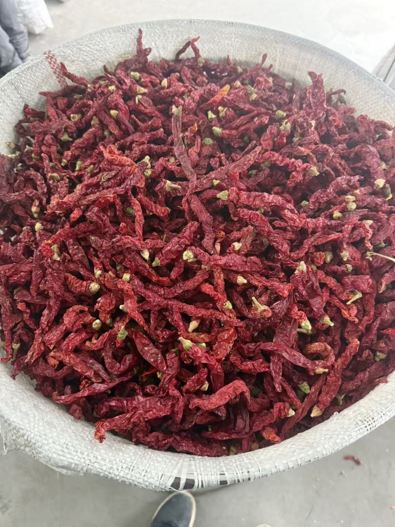 干辣椒剪把线椒